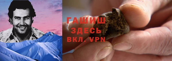гашик Алексеевка