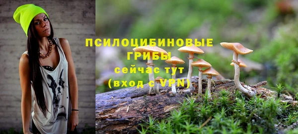 амф Алзамай