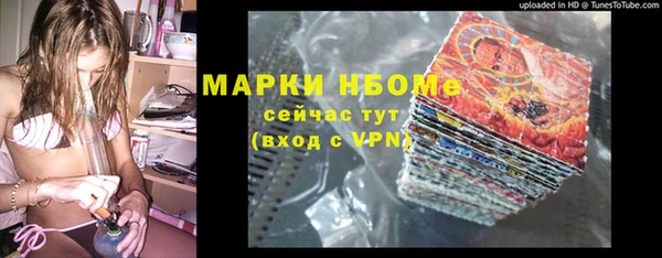 гашик Алексеевка