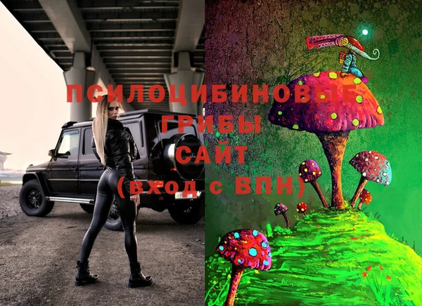 гашик Алексеевка