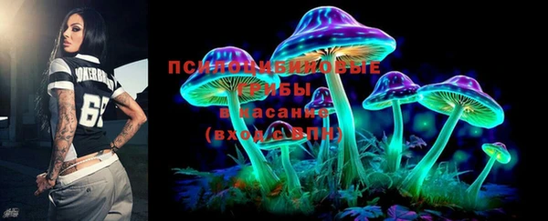 гашик Алексеевка