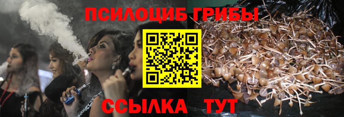 Амурск  продажа наркотиков  Вход с VPN  Галлюциногенные грибы Cubensis 
